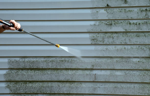 Best Patio and Deck Pressure Washing  in Conesus Lake, NY